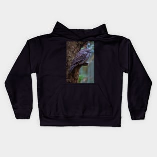 Tawny Frogmouth 2 Kids Hoodie